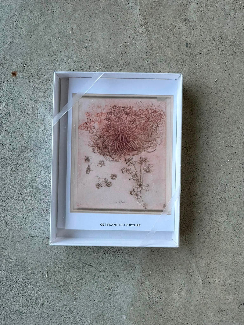 Curiosity and Invention | Leonardo da Vinci Art Study Collection