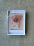 Curiosity and Invention | Leonardo da Vinci Art Study Collection