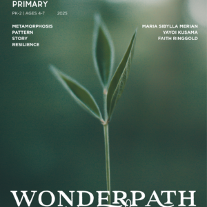 Wonderpath | TRANSFORMATION