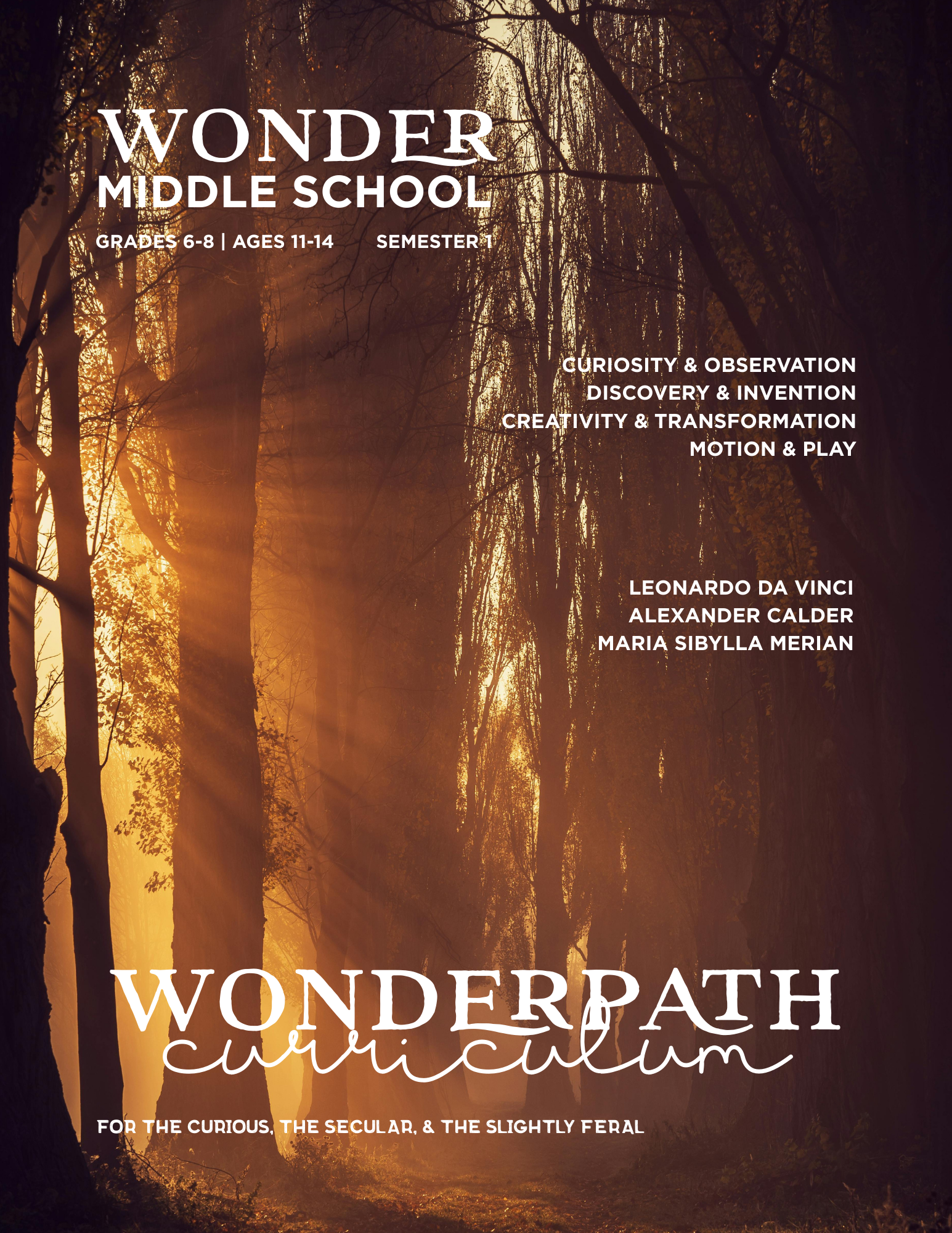Wonderpath | WONDER - Image 3