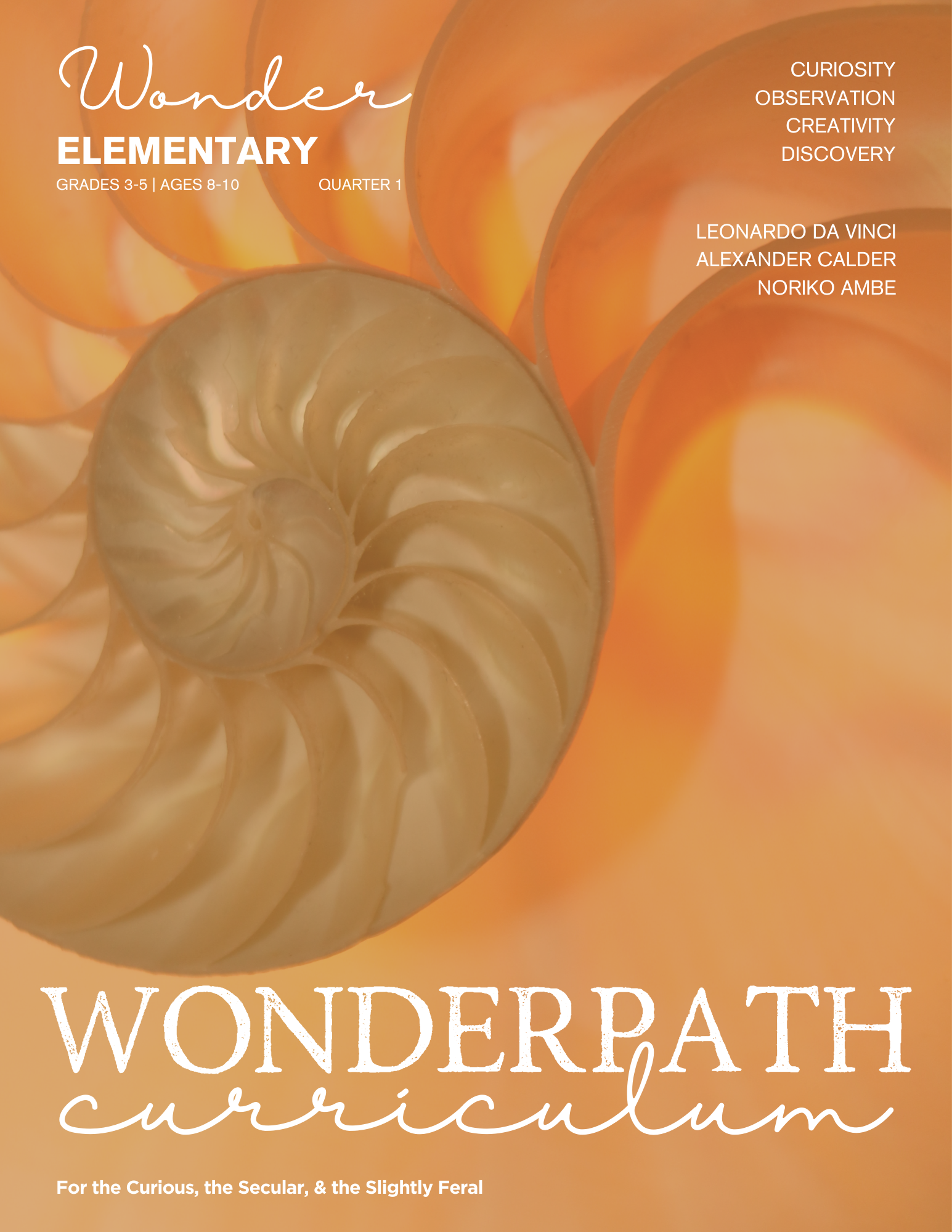 Wonderpath | WONDER - Image 5