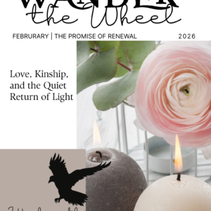 Wander the Wheel | February 2026